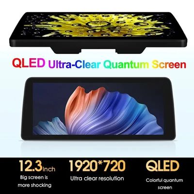 12.3' QLED Bildschirm 4G LTE Wifi DSP Carplay Android Auto 2Din Car Radio Für BMW/Benz/Audi Universal